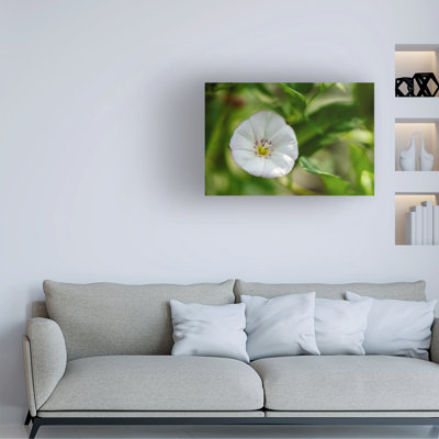 Suzanne Bonin Little Glass Canvas Art