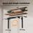 55" Electric Standing Desk With 2 Drawers And Keyboard Tray, Height Adjustable Desk for Home Office -119342032-117664304