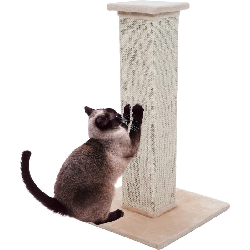 Grattoir Sisal