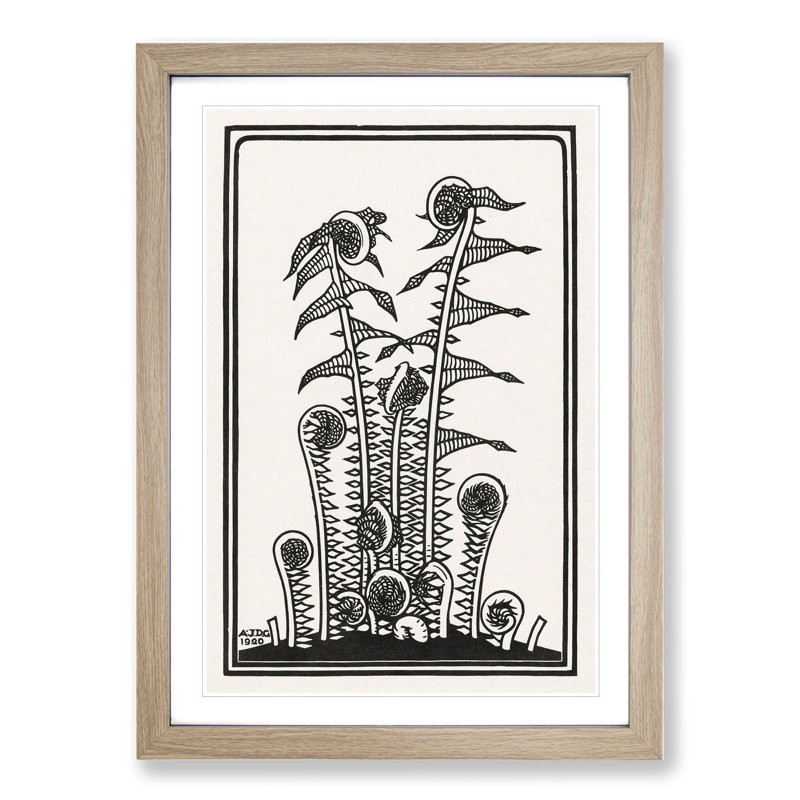 Ferns by Julie De Graag - Picture Frame Graphic Art, 36cm H x 27cm W x 2cm D, Oak Framed