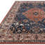 Anthonyville Oriental Area Rug-441389810
