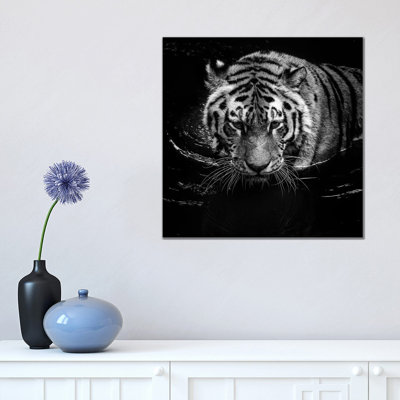 Tiger In Water by Lukas Holas - Wrapped Canvas Print