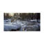 «Winter Creek Coyote» par Etelca, impression sur toile tendue-27645091