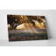" Morning Meadow Sunrise "-29146286-31992809