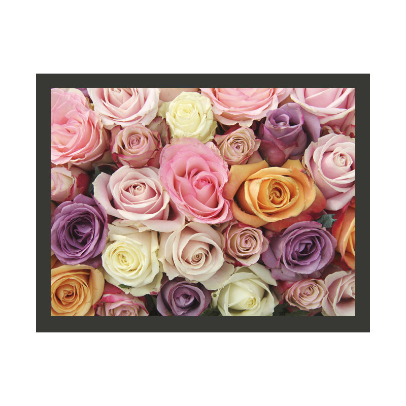 Pastel Roses 309cm x 400cm Wallpaper