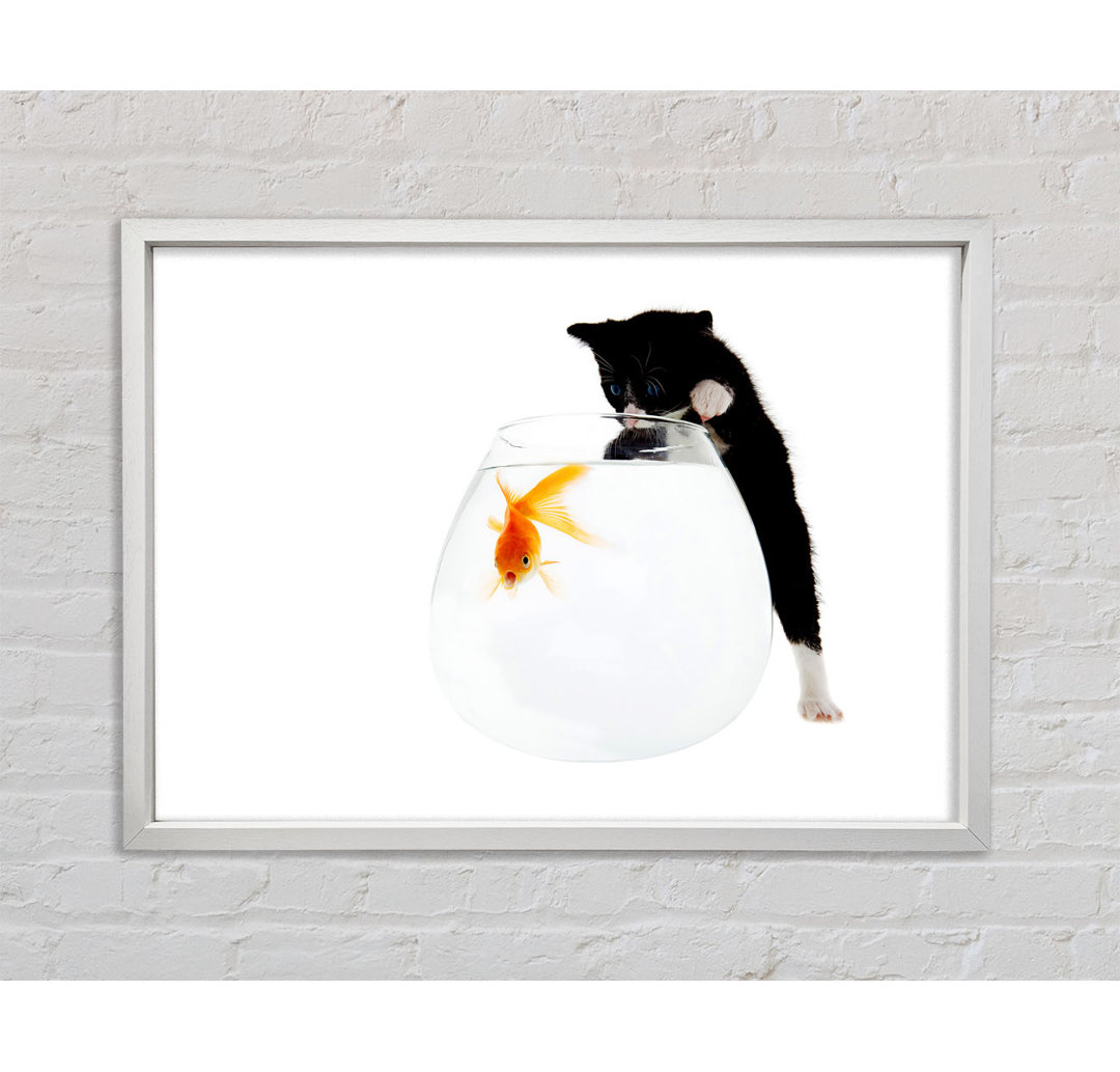 Kitten Fish Bowl - Einzelner Bilderrahmen Kunstdrucke auf Leinwand