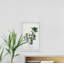 Ceramic Plant Pots - Single Picture Frame Painting-40568453