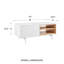 Ikram Storage Coffee Table