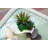 6.5'' Faux Succulent Plant in Cement Planter