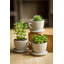 Ensemble de 3 pots de fleurs en ciment Abordale