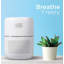 BAP Series BLACK+DECKER Tabletop Air Purifier - 3-Stage Filtration System, HEPA Air Purifiers for Home