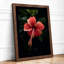 Crimson Hibiscus Botanical - Framed Print-184721816-184721821