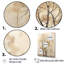 «Beige Trees Oak Solitude VI», reproduction sur toile-463970036-463969997