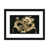 Black Framed Fine Art Paper is unavailable