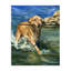 «Happy Labrador with Stick Stick», conception de George Dyachenko-482454195