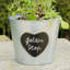 Nelda Metal Pot Planter