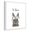 Le lapin est courage-48187568-48187589