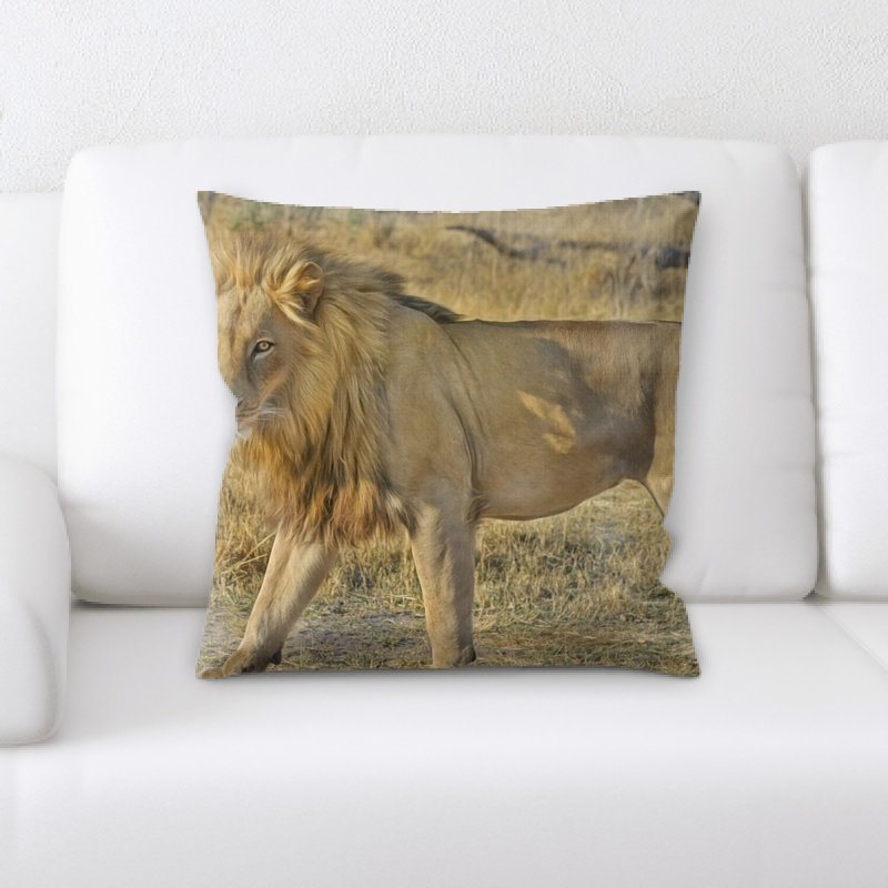 Housse et insert de coussin carré lion