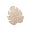 Sous-verres Monstera Monstera-1355917148