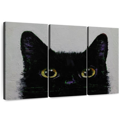 Chat noir furtivement