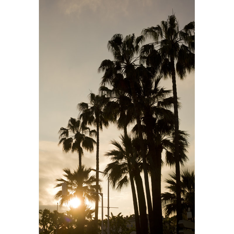 «Summer Evening Palm Trees» par Nicholas Free, H 18 po x l 12 po