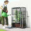 Cage à plante, lit de jardin surélevé-169649595-183212139