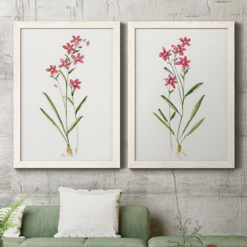 Delicate Pink I - ensemble de 2 peintures sur toile encadrées, Blanc, H 20 po x l 34 po x P 1,5 po