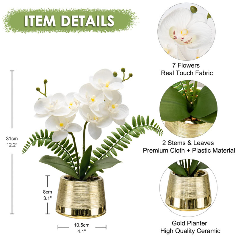 Arrangement in Vase