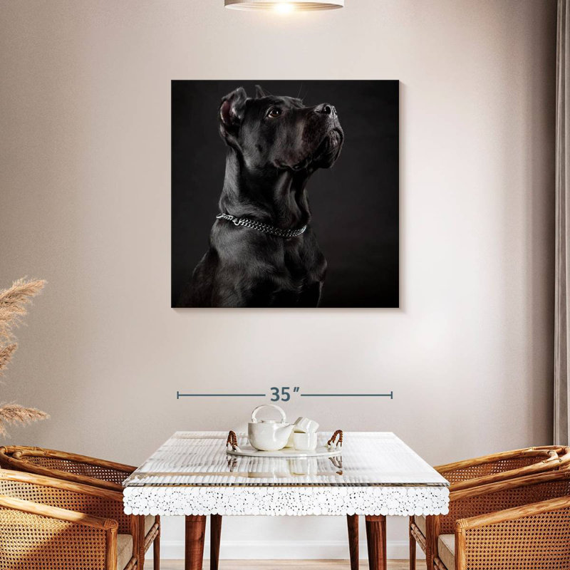 Brampt Dignified Cane Corso Dog, 36" H x 36" W