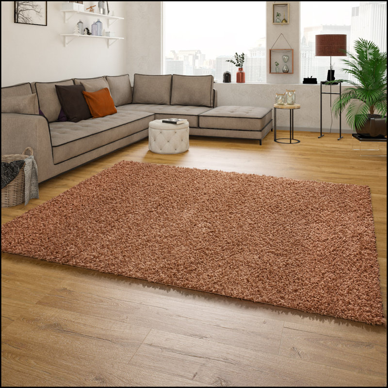 Ahmiracle Uniform Color Shag Area Rug, Runner 70 x 250cm