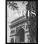 Classic Elegance "Paris " Framed Print Wall Art-250716347