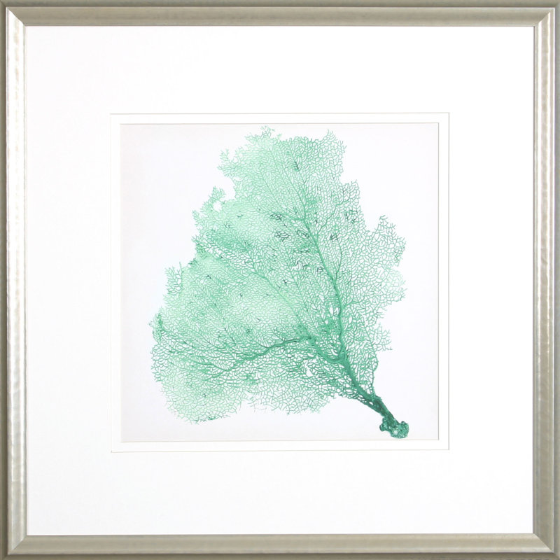 «Sea Fan VII» par Vision - impression encadrée sur papier