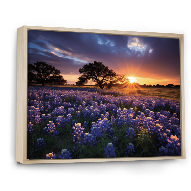 Sunrise Blue Bonnets Field III - impression, H 12 po x l 20 po x P 1 po, Cadre naturel flottant
