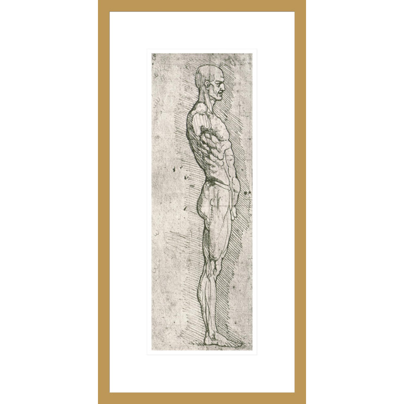 «Anatomical Study» (photo en noir et blanc) par Leonardo Da Vinci, impression giclée encadrée, H 21,75 po x l 11,2 po