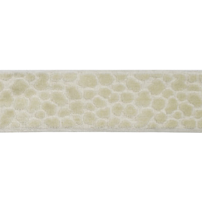 Tissu