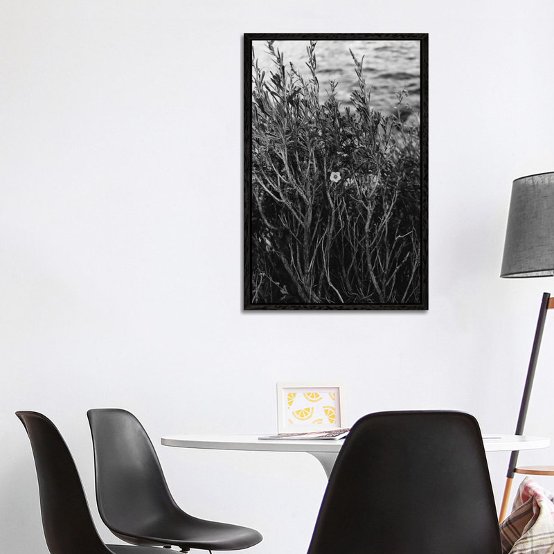 Tenaya Lake, Yosemite National Park II by Bethany Young - Print on Canvas, 101.6cm H x 66.04cm W x 3.81cm D, Black Framed