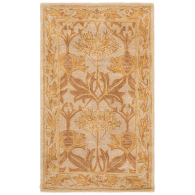 Antiquity Hand-Tufted Beige / Gold Area Rug
