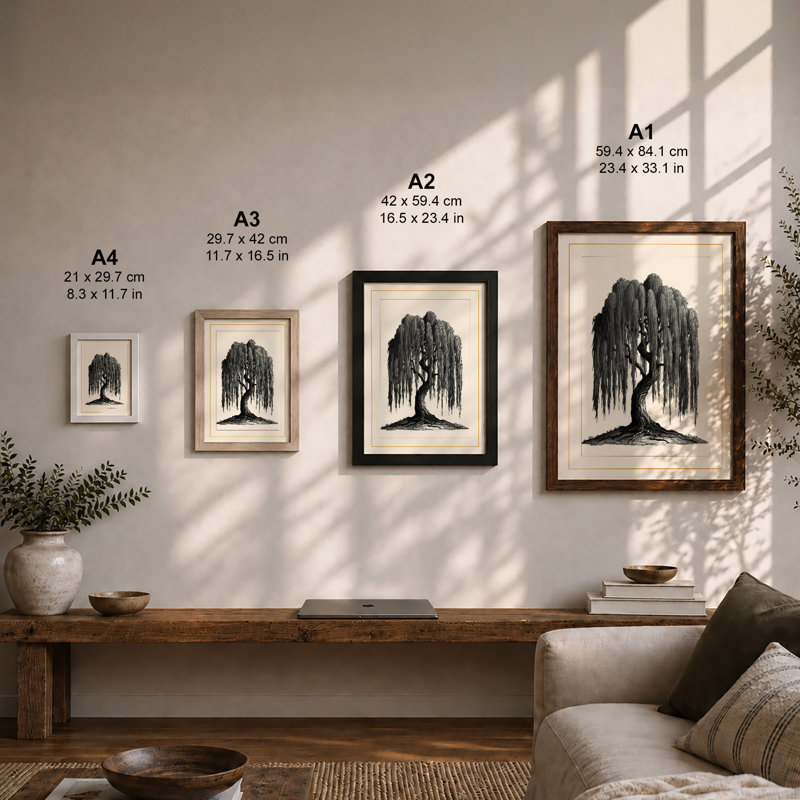 Weeping Willow Botanical - Framed Print, Black, A3 - 42.0 x 29.7 cm