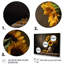 «Golden Sunflower Still Life III», reproduction sur toile-1899479419-1899479418