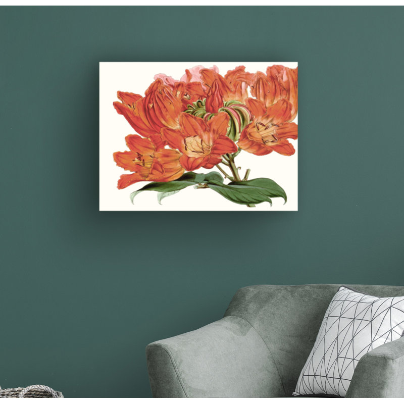 «Striking Coral Botanicals III» par Curtis - peinture sur toile tendue, H 35 po x l 47 po x P 2 po