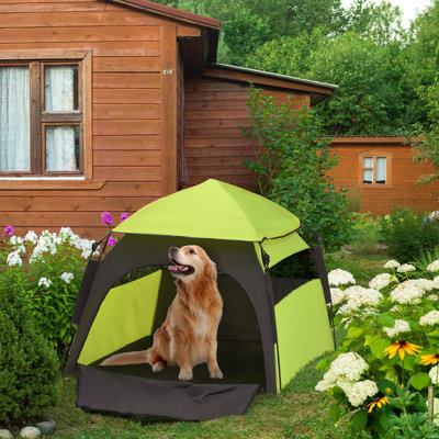 Tente escamotable pour chien pour très grands et grands chiens