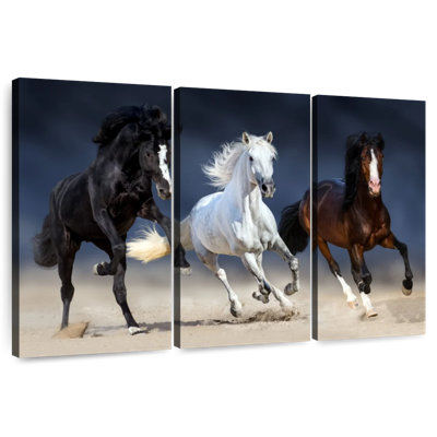 Wild Colorful Horses