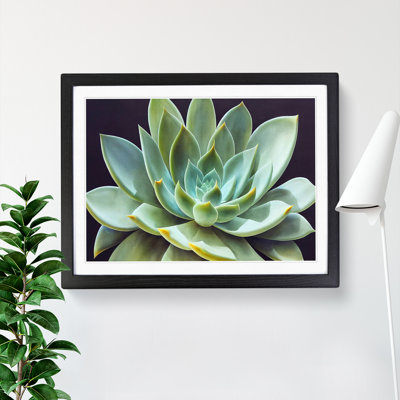 Watercolour Succulent Plant Vol.5 - Single Picture Frame Print