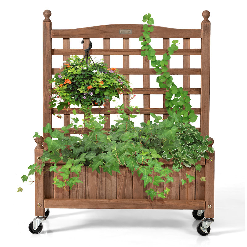 Brigetta Wood Planter Box with Trellis, 1