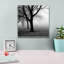 «Trees» par PhotoINC Studio-604192410