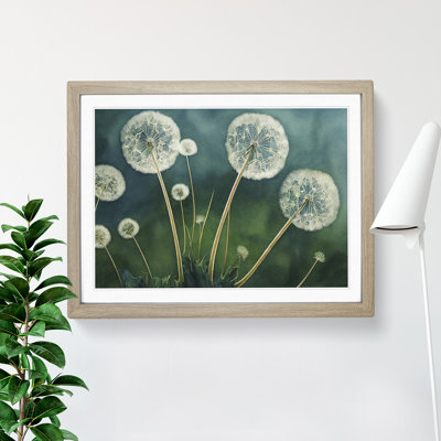 Watercolour Dandelions - Single Picture Frame Print
