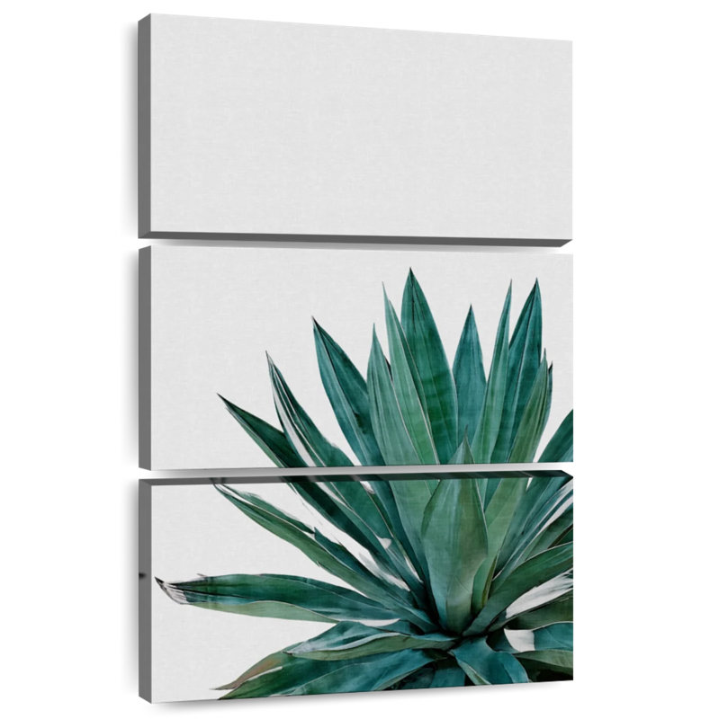 Cactus Harnek Agave, H 74 po x l 48 po