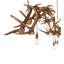 Dragelin 8 - Light Chandelier