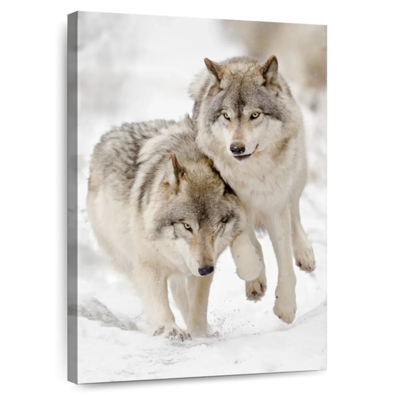 Brampt Playful Gray Wolves, 36" H x 24" W
