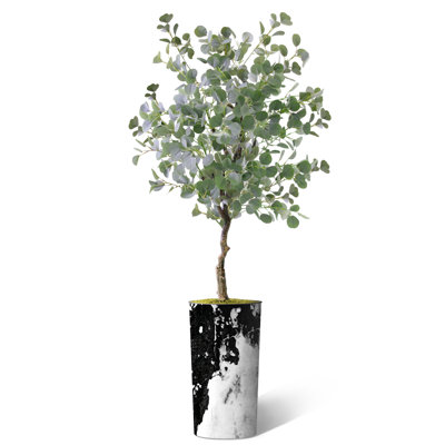 Faux Eucalyptus Plant in Plastic Planter